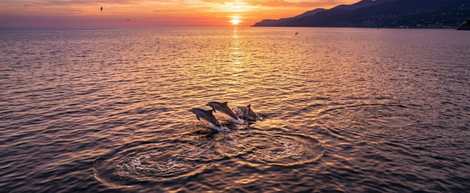 boat-tour-sunset-dolphin-giardini-naxos