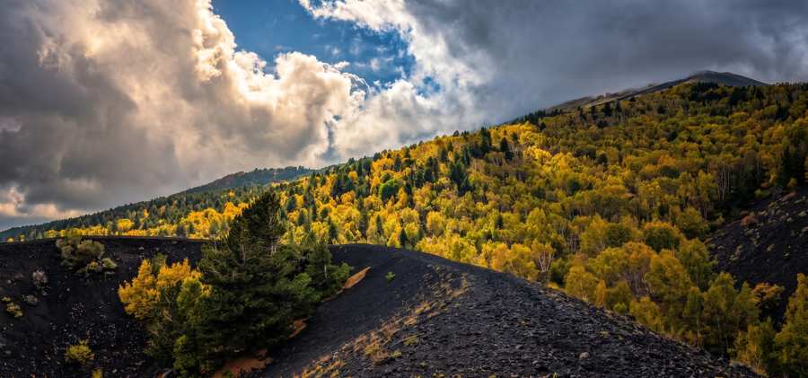 etna-easy-your